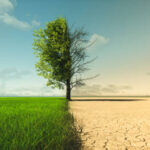 Climate change from drought to green growth